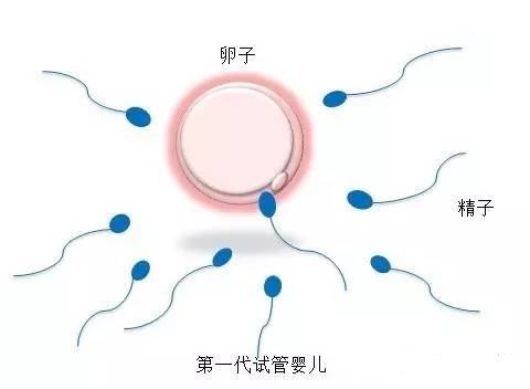 陳明瑜
